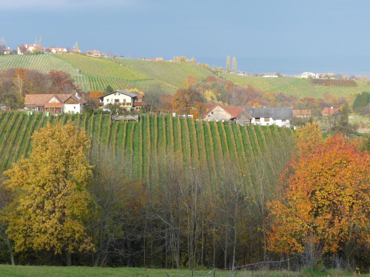 Auszeit Ferienhaus Fur 6 Personen ,Mit Grosser Terrasse Und Panoramablick, Turracher Hohe -A1 Haus 436 A Links- Zewnętrze zdjęcie
